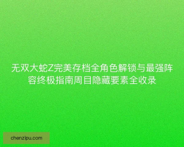 无双大蛇Z完美存档全角色解锁与最强阵容终极指南周目隐藏要素全收录